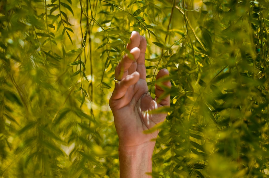 Sustainability
