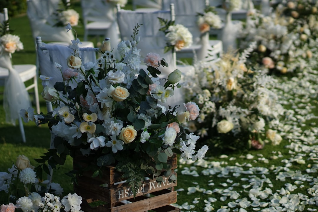 Photo funeral care